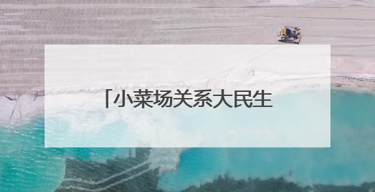 小菜场关系大民生！晨报小记者体验“小小市场监管员”