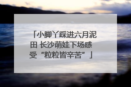 小脚丫踩进六月泥田 长沙萌娃下场感受“粒粒皆辛苦”