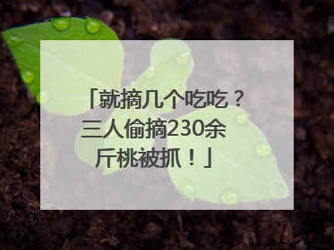 就摘几个吃吃？三人偷摘230余斤桃被抓！