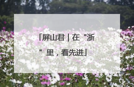 屏山君｜在“浙”里，看先进