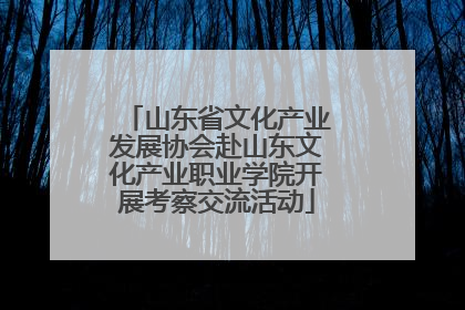 山东省文化产业发展协会赴山东文化产业职业学院开展考察交流活动