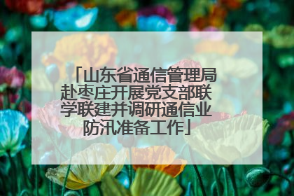 山东省通信管理局赴枣庄开展党支部联学联建并调研通信业防汛准备工作