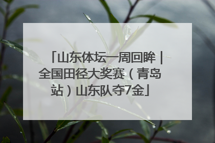 山东体坛一周回眸｜全国田径大奖赛（青岛站）山东队夺7金