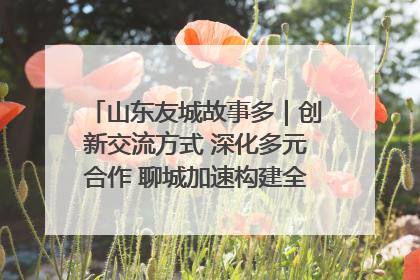 山东友城故事多｜创新交流方式 深化多元合作 聊城加速构建全球友城新格局