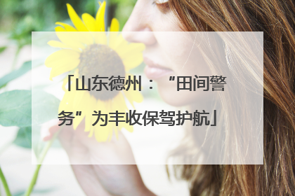 山东德州：“田间警务”为丰收保驾护航