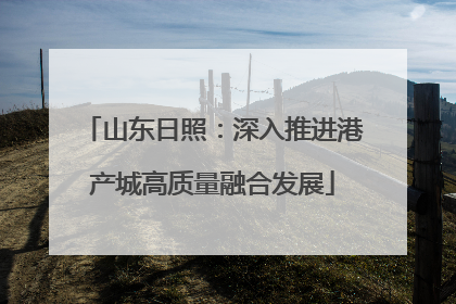山东日照：深入推进港产城高质量融合发展