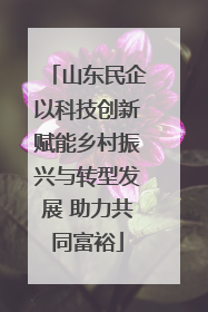 山东民企以科技创新赋能乡村振兴与转型发展 助力共同富裕