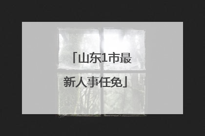 山东1市最新人事任免