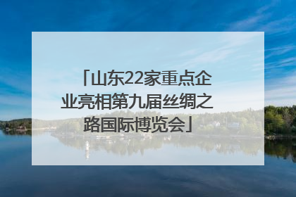 山东22家重点企业亮相第九届丝绸之路国际博览会
