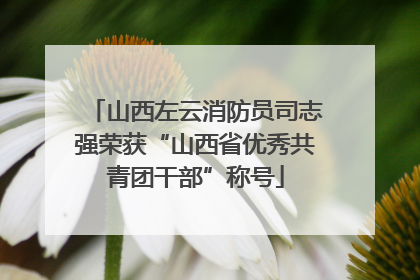 山西左云消防员司志强荣获“山西省优秀共青团干部”称号