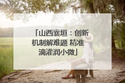 山西襄垣：创新机制解难题 精准滴灌润小微