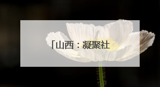 山西：凝聚社会组织“她力量”，做好服务基层“家”文章