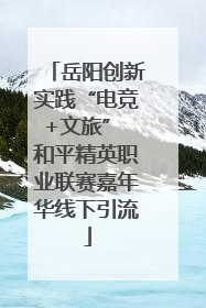 岳阳创新实践“电竞+文旅” 和平精英职业联赛嘉年华线下引流
