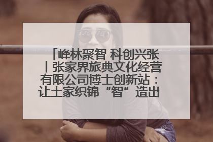 峰林聚智 科创兴张丨张家界旅典文化经营有限公司博士创新站：让土家织锦“智”造出非遗新传奇
