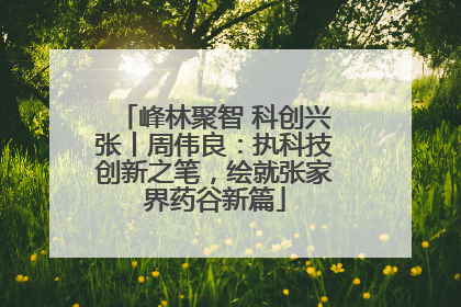 峰林聚智 科创兴张丨周伟良：执科技创新之笔，绘就张家界药谷新篇
