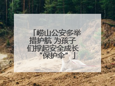 崂山公安多举措护航 为孩子们撑起安全成长“保护伞”