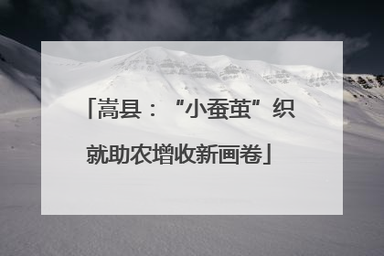 嵩县：“小蚕茧”织就助农增收新画卷