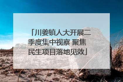 川姜镇人大开展二季度集中视察 聚焦民生项目落地见效