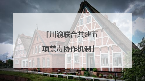 川渝联合共建五项禁毒协作机制