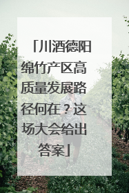 川酒德阳绵竹产区高质量发展路径何在？这场大会给出答案