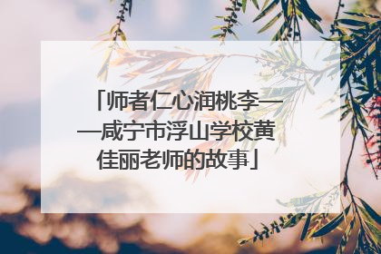 师者仁心润桃李——咸宁市浮山学校黄佳丽老师的故事
