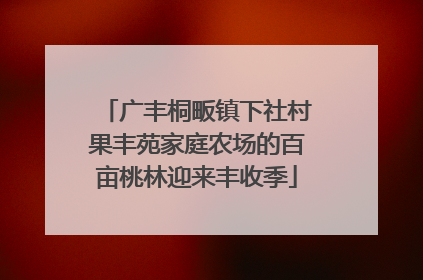 广丰桐畈镇下社村果丰苑家庭农场的百亩桃林迎来丰收季