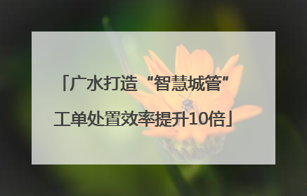 广水打造“智慧城管” 工单处置效率提升10倍