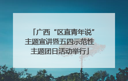 广西“区直青年说”主题宣讲暨五四示范性主题团日活动举行