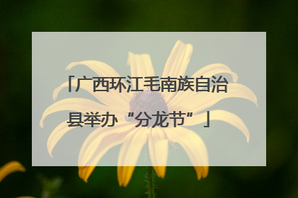 广西环江毛南族自治县举办“分龙节”