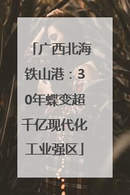 广西北海铁山港：30年蝶变超千亿现代化工业强区