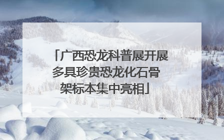广西恐龙科普展开展 多具珍贵恐龙化石骨架标本集中亮相