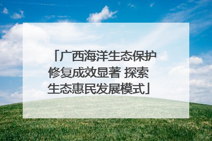 广西海洋生态保护修复成效显著 探索生态惠民发展模式