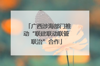 广西涉海部门推动“联建联动联管联治”合作