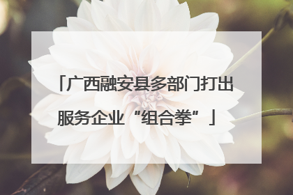 广西融安县多部门打出服务企业“组合拳”