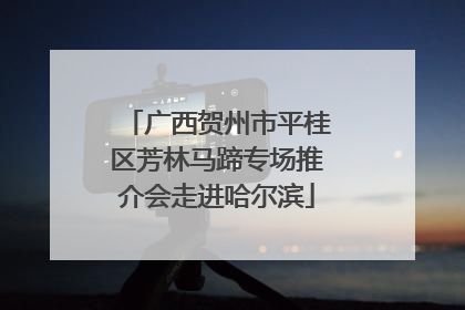 广西贺州市平桂区芳林马蹄专场推介会走进哈尔滨