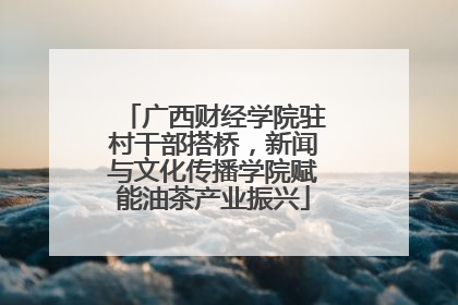 广西财经学院驻村干部搭桥，新闻与文化传播学院赋能油茶产业振兴
