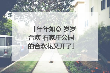 年年如意 岁岁合欢 石家庄公园的合欢花又开了
