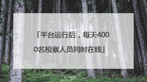 平台运行后，每天4000名检察人员同时在线