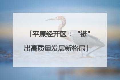 平原经开区：“链”出高质量发展新格局