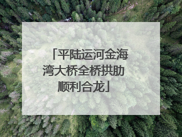 平陆运河金海湾大桥全桥拱肋顺利合龙