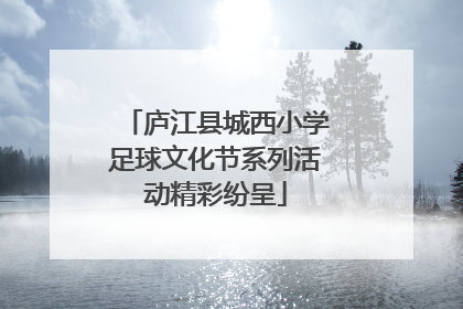 庐江县城西小学足球文化节系列活动精彩纷呈
