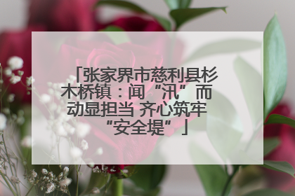 张家界市慈利县杉木桥镇：闻“汛”而动显担当 齐心筑牢“安全堤”