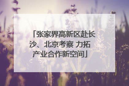 张家界高新区赴长沙、北京考察 力拓产业合作新空间