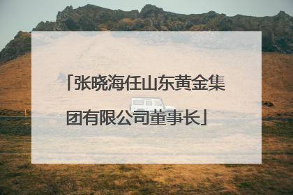 张晓海任山东黄金集团有限公司董事长