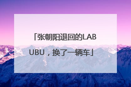 张朝阳退回的LABUBU，换了一辆车