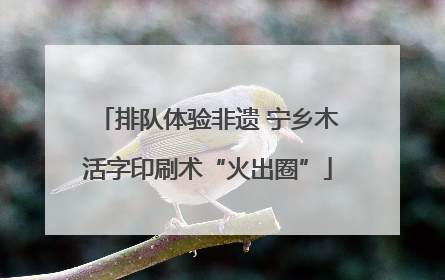 排队体验非遗 宁乡木活字印刷术“火出圈”