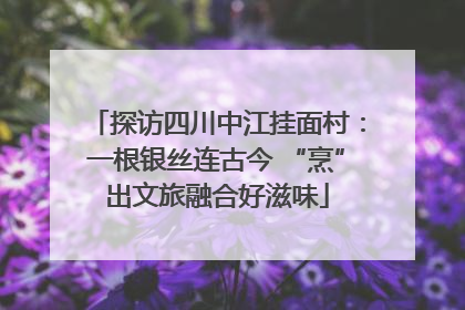 探访四川中江挂面村：一根银丝连古今 “烹”出文旅融合好滋味