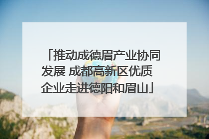 推动成德眉产业协同发展 成都高新区优质企业走进德阳和眉山