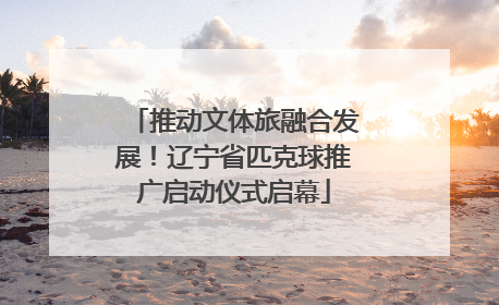 推动文体旅融合发展!辽宁省匹克球推广启动仪式启幕