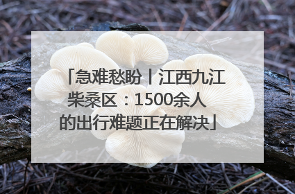 急难愁盼丨江西九江柴桑区：1500余人的出行难题正在解决